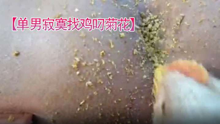 单男寂寞找鸡叼菊花菊花看起来好紧逼- www.jdav.vip